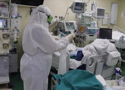 خبرنگاران رئیس علوم پزشکی: 105 بیمار کرونایی در قم بستری هستند